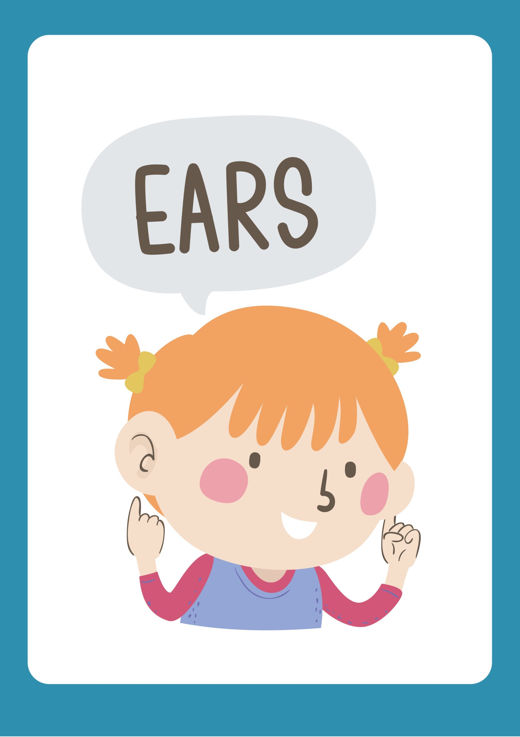 human budy Flashcards_page-0002