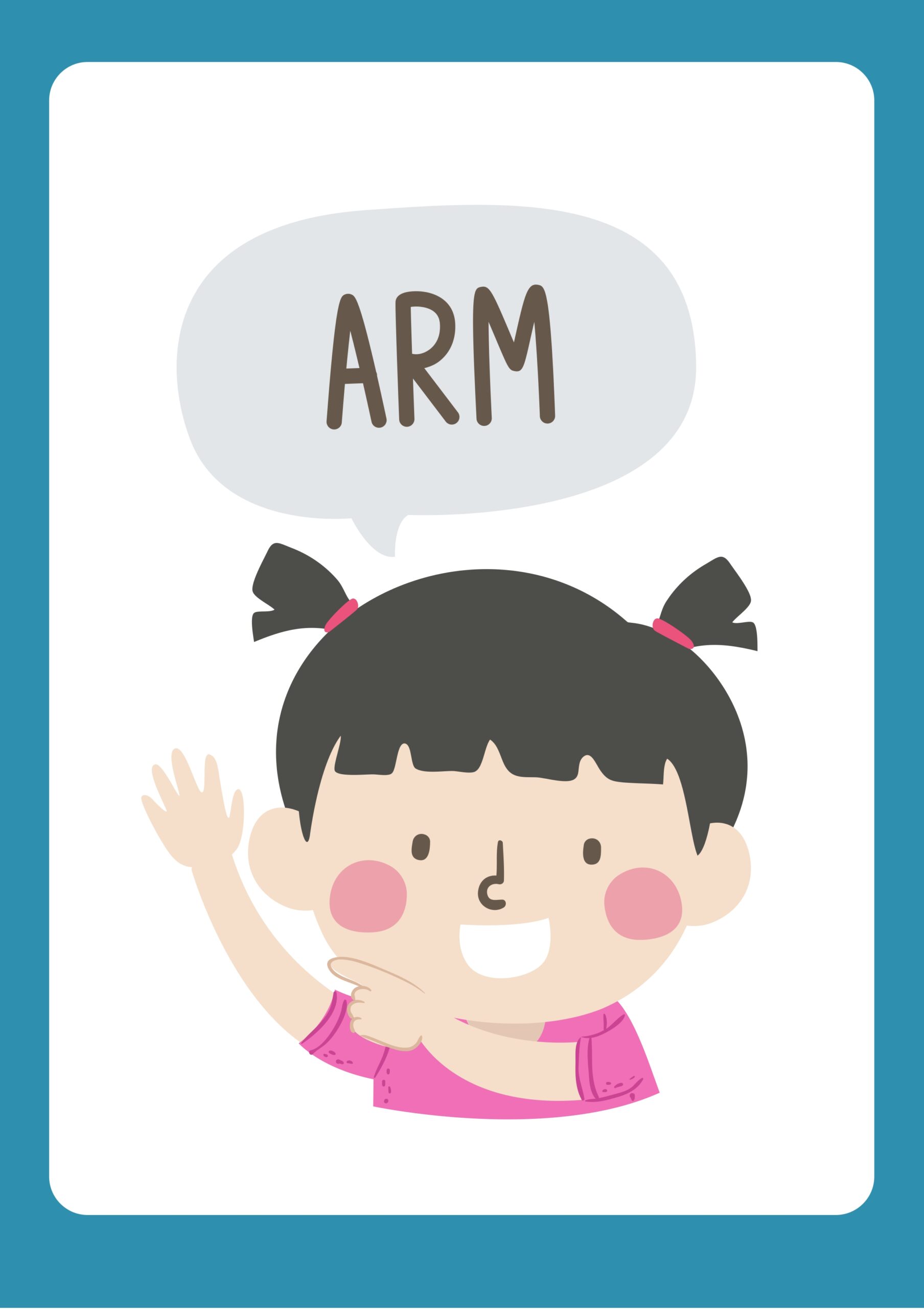 human budy Flashcards_page-0017