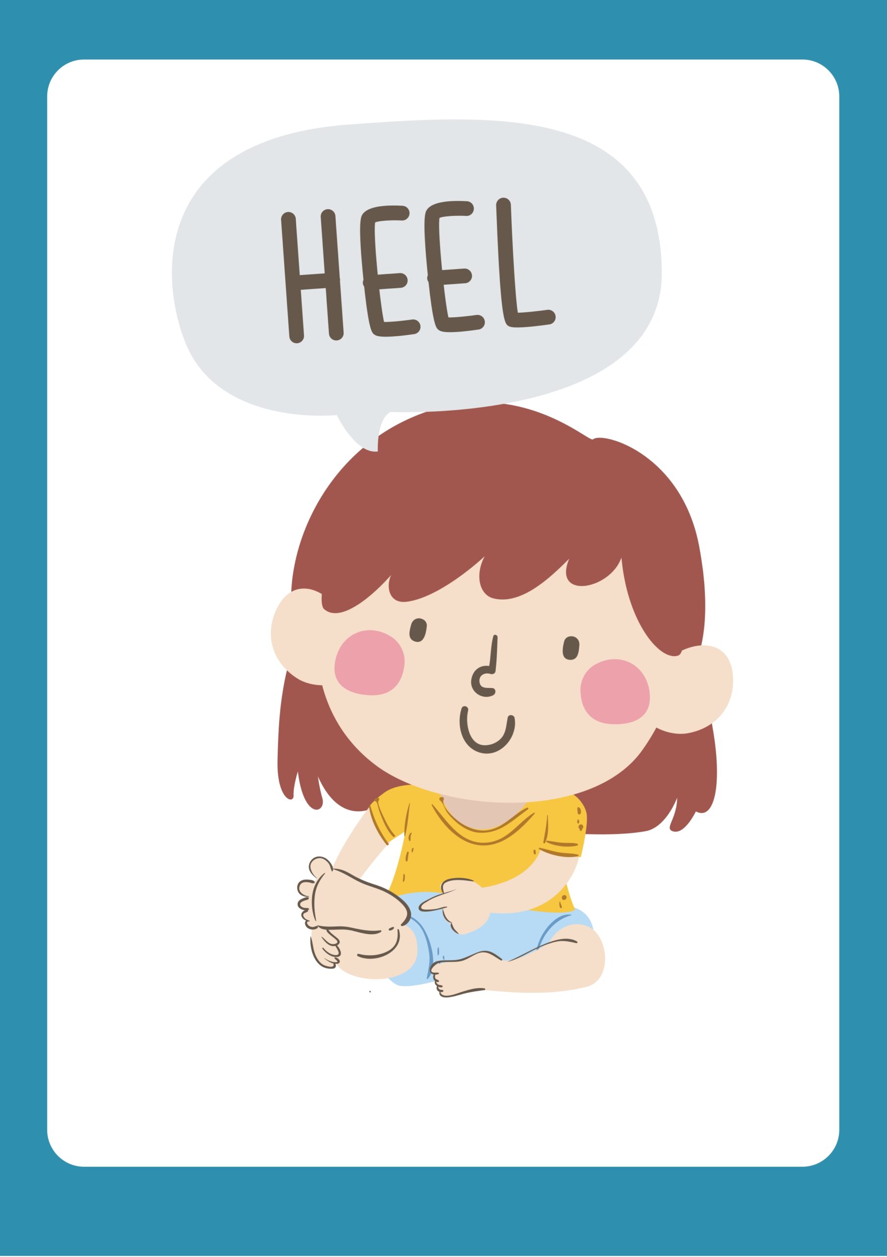 human budy Flashcards_page-0019 - Copy